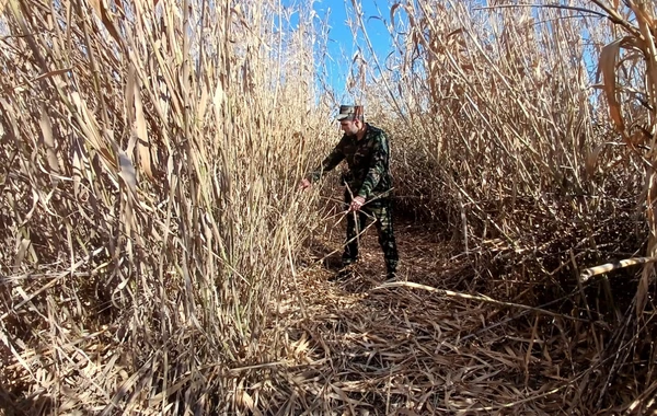 2013-cü il təvəllüdlü oğlanın axtarışları davam edir - FOTO\VİDEO