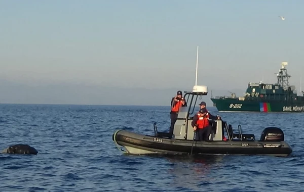 ГПС: В Каспийском море обнаружено более 14 кг марихуаны - ФОТО
