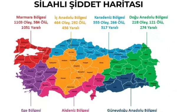 Türkiyədə silahlı zorakılıq xəritəsi: İstanbul birinci yerdədir - FOTO
