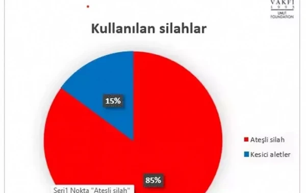 Türkiyədə silahlı zorakılıq xəritəsi: İstanbul birinci yerdədir - FOTO