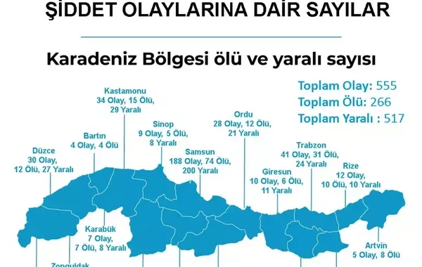 Türkiyədə silahlı zorakılıq xəritəsi: İstanbul birinci yerdədir - FOTO
