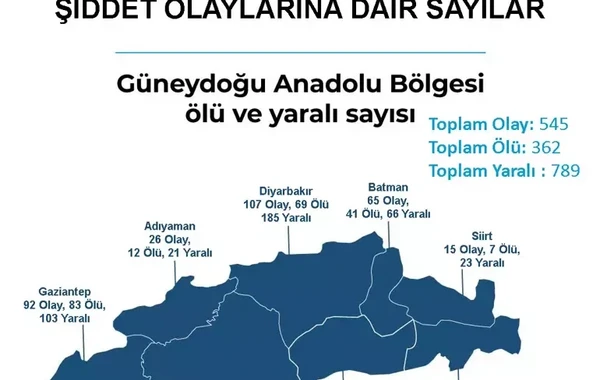 Türkiyədə silahlı zorakılıq xəritəsi: İstanbul birinci yerdədir - FOTO