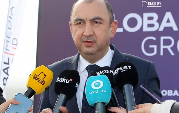 Global Media Group провел акцию по посадке деревьев в рамках "Года солидарности во имя зеленого мира" - ФОТО