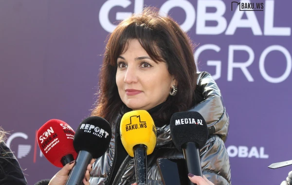 Global Media Group провел акцию по посадке деревьев в рамках "Года солидарности во имя зеленого мира" - ФОТО