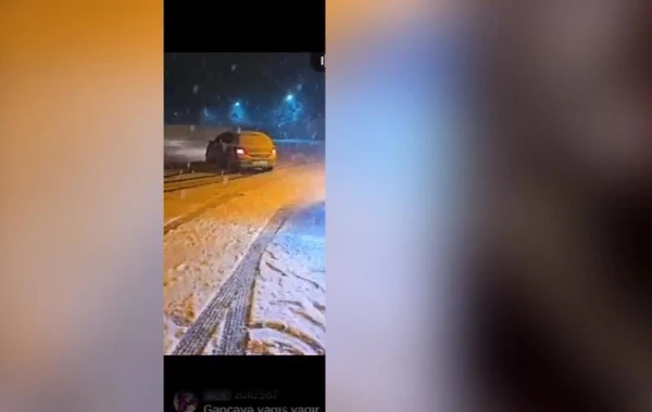 Qarlı havada avtoxuliqanlıq edib sosial şəbəkələrdə paylaşanlar həbs olunub - FOTO/VİDEO