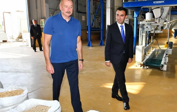 Prezidentin açılış etdiyi aqroparkın uğurları davam edir - FOTO/VİDEO