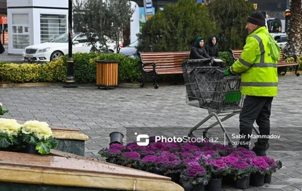 “Ana harayı” abidəsinin yerləşdiyi Xocalı parkında hazırlıq və abadlıq işləri aparılır - FOTO