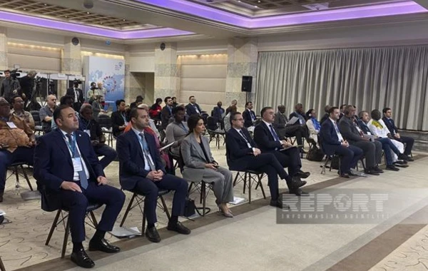 В Стамбуле продолжается международная конференция на тему деколонизации - ОБНОВЛЕНО + ФОТО/ВИДЕО