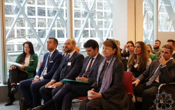 Britaniya Baş nazirinin ticarət elçisi: COP29-un Azərbaycanda keçirilməsi çox vacibdir - FOTO