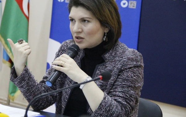 “Media və insan hüquqları” mövzusunda təlim keçirilib - FOTO