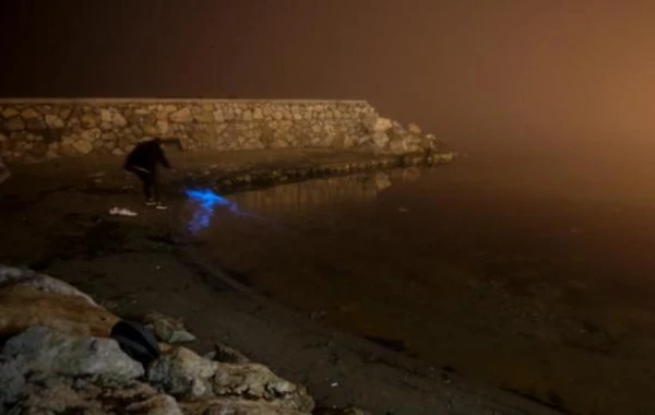 Dəniz suyu parlaq mavi rəngli işqılar saçdı - FOTOLAR