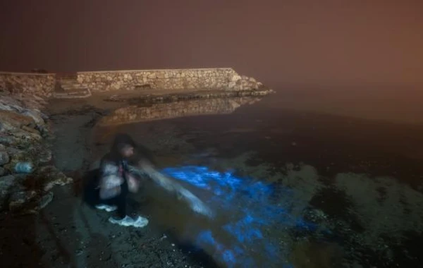 Dəniz suyu parlaq mavi rəngli işqılar saçdı - FOTOLAR