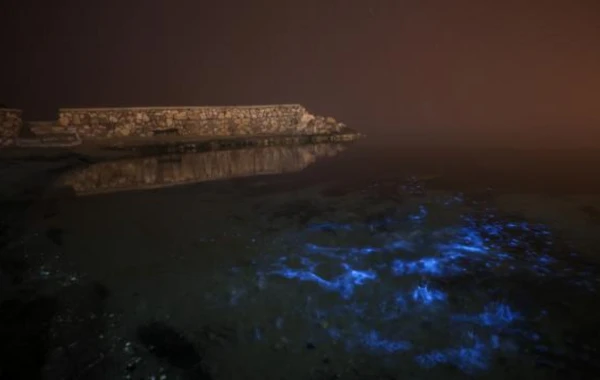 Dəniz suyu parlaq mavi rəngli işqılar saçdı - FOTOLAR