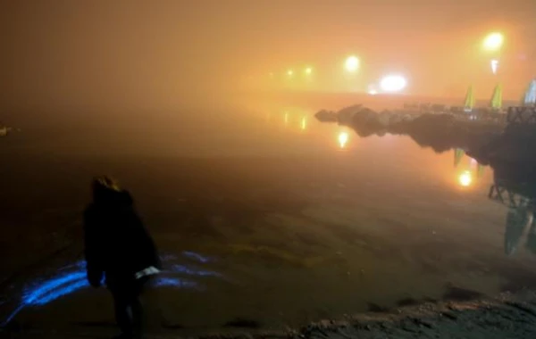 Dəniz suyu parlaq mavi rəngli işqılar saçdı - FOTOLAR
