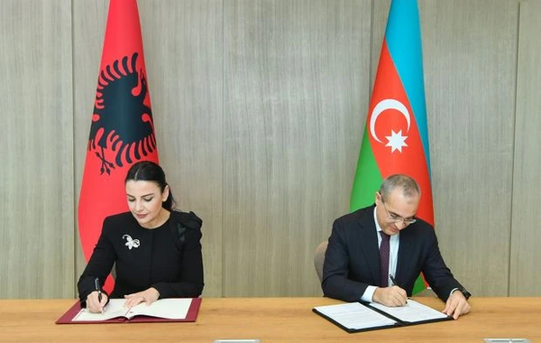 Mikayıl Cabbarov Albaniyanın baş nazirinin müavini ilə görüşüb - FOTO