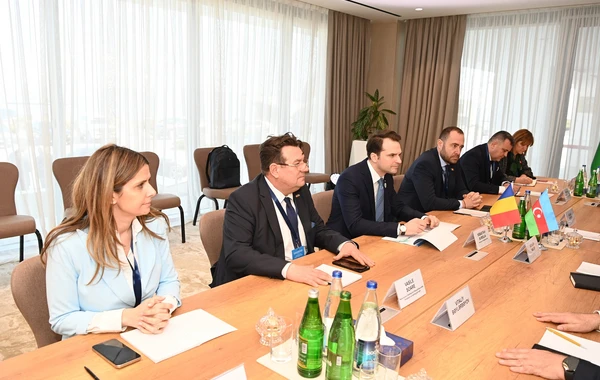 SOCAR-ın prezidenti Rumıniyanın energetika naziri ilə görüşüb - FOTO