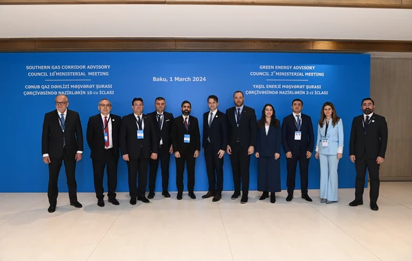 SOCAR-ın prezidenti Rumıniyanın energetika naziri ilə görüşüb - FOTO