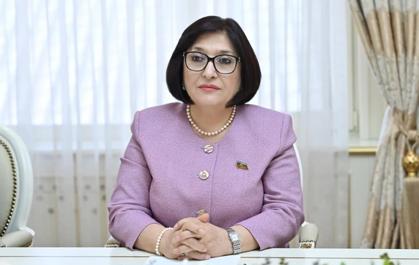 Sahibə Qafarova Avstriya-Cənubi Qafqaz dostluq qrupunun rəhbəri Andreas Minnixin başçılıq etdiyi nümayəndə heyəti ilə görüşüb - FOTO
