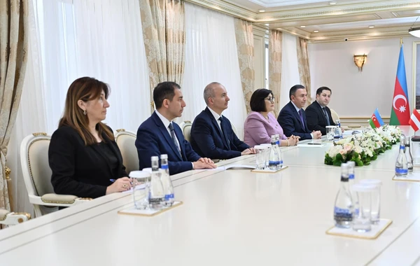 Sahibə Qafarova Avstriya-Cənubi Qafqaz dostluq qrupunun rəhbəri Andreas Minnixin başçılıq etdiyi nümayəndə heyəti ilə görüşüb - FOTO