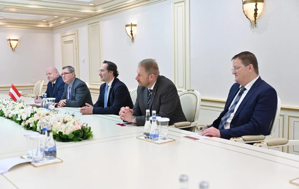 Sahibə Qafarova Avstriya-Cənubi Qafqaz dostluq qrupunun rəhbəri Andreas Minnixin başçılıq etdiyi nümayəndə heyəti ilə görüşüb - FOTO
