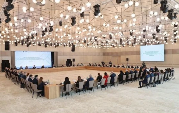 Состоялось второе заседание Оргкомитета по COP29 - ФОТО