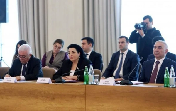 Состоялось второе заседание Оргкомитета по COP29 - ФОТО