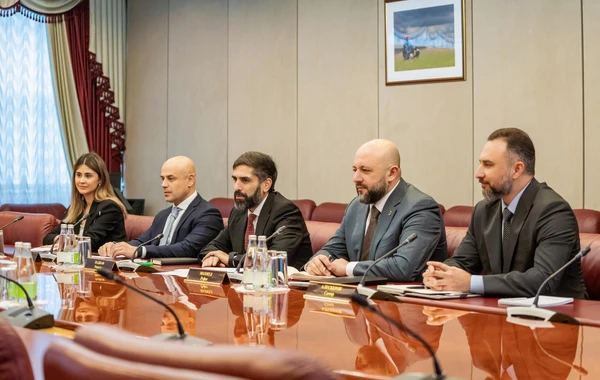 SOCAR və "Tatneft" neft-kimya sahəsində qarşılıqlı fəaliyyət göstərəcək - FOTO