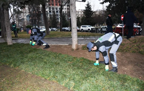 В Баку прошел общегородской субботник - ФОТО