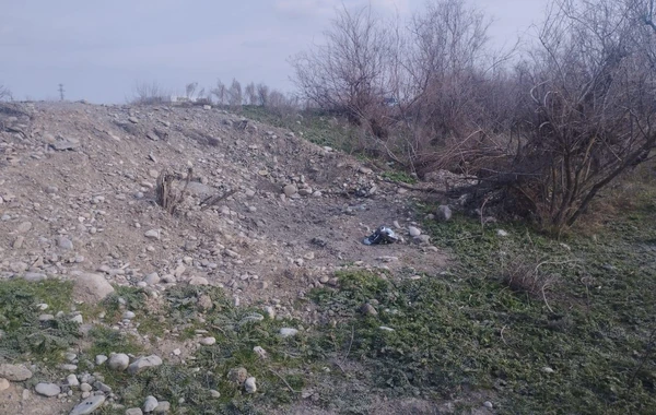 В Зардабском районе обнаружены оружие и боеприпасы - ФОТО