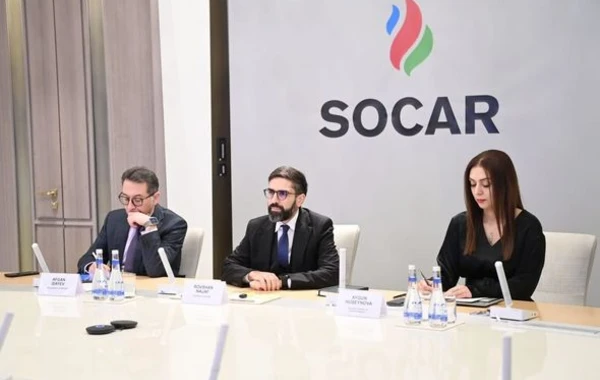 Представители ВЭФ были проинформированы о стратегических целях SOCAR - ФОТО