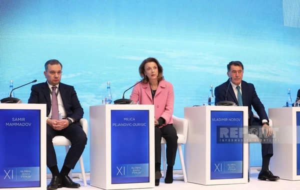 Bakı Forumu: "Süni intellekt və dronlar əsrində yeni təhlükəsizlik paradiqması" mövzusunda panel iclası keçirilib - FOTO