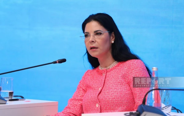 Bakı Forumu: "Süni intellekt və dronlar əsrində yeni təhlükəsizlik paradiqması" mövzusunda panel iclası keçirilib - FOTO