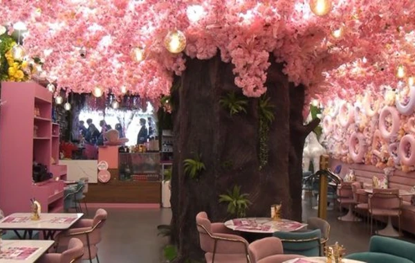 Bakıda məşhur kafenin fəaliyyəti dayandırıldı - FOTO/VİDEO