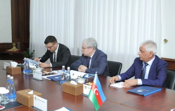 Агиля Гурбанова назначили на еще одну должность - ФОТО
