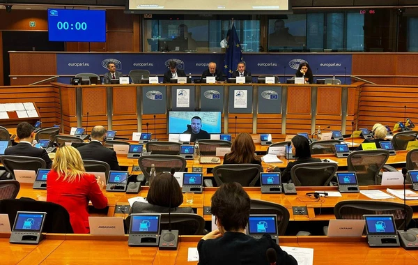 Tahir Mirkişili Avronest PA-nın komitə sədri seçilib, sədrlik Azərbaycana keçib - FOTO
