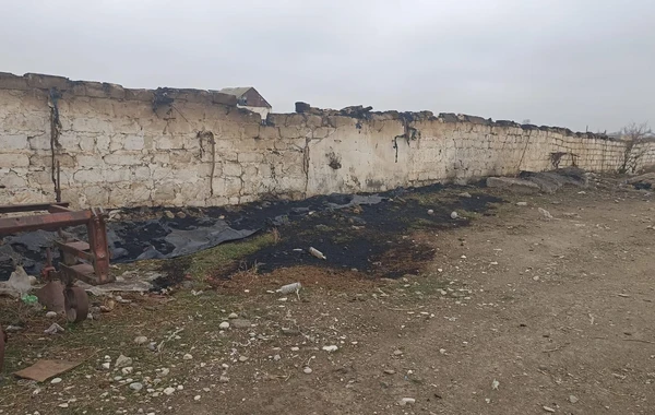 Goranboyda ferma yandırılıb, 230 baş heyvan tələf olub - FOTO