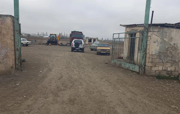 Goranboyda ferma yandırılıb, 230 baş heyvan tələf olub - FOTO