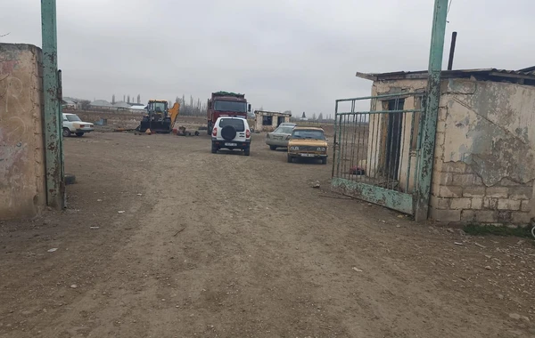 В Геранбое подожгли ферму, погибли более 200 голов мелкого рогатого скота - ФОТО
