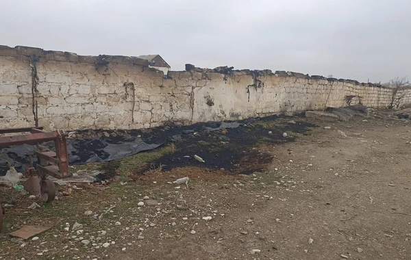 В Геранбое подожгли ферму, погибли более 200 голов мелкого рогатого скота - ФОТО
