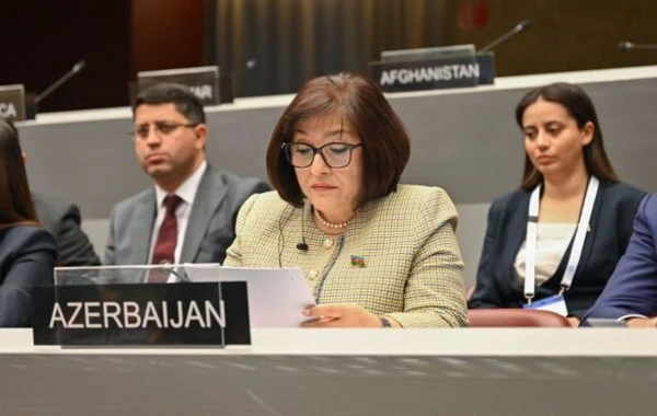 Sahibə Qafarova Parlamentlərarası İttifaqın Assambleyasında Ermənistan spikeri ilə görüşündən danışıb - FOTO