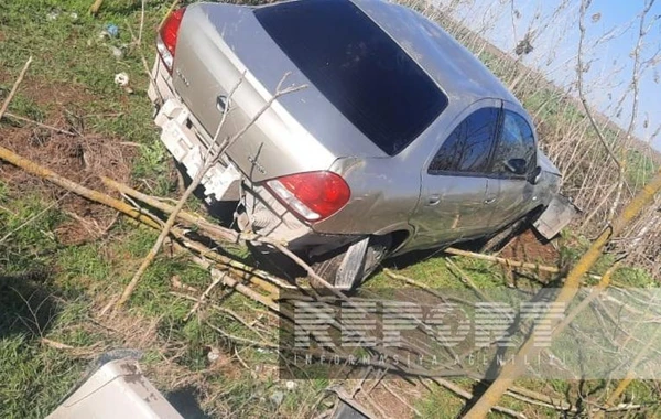 Cəlilabadda avtomobil ağaca çırpılıb: Xəsarət alan var - FOTO