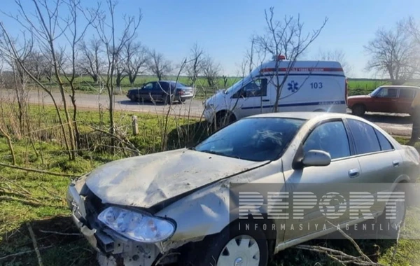 Cəlilabadda avtomobil ağaca çırpılıb: Xəsarət alan var - FOTO