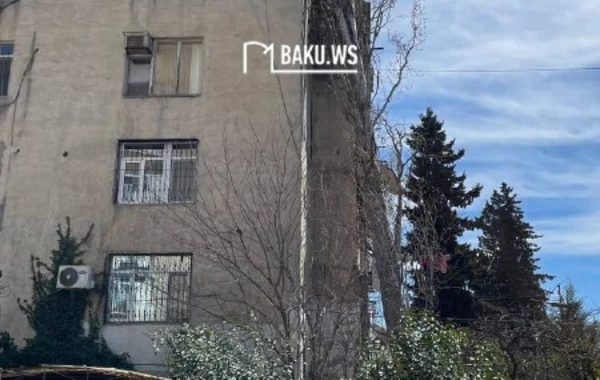 Bakıda 3 aydan çoxdur binanın üzərinə aşan ağacı hadisə yerindən kim götürməlidir? - YENİLƏNİB/VİDEO