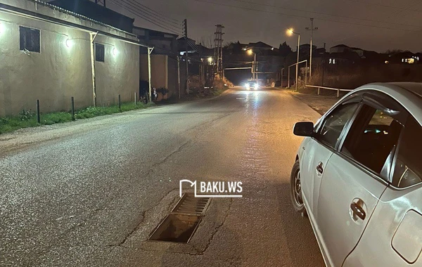 Qaraçuxurda yolun ortasındakı çala sürücülərə problem yaradır - FOTO\VİDEO