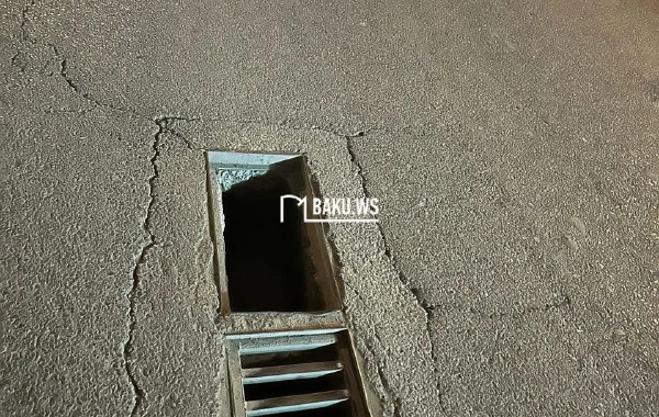 Qaraçuxurda yolun ortasındakı çala sürücülərə problem yaradır - FOTO\VİDEO