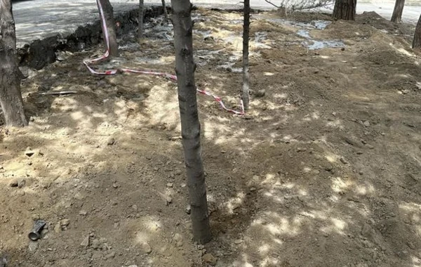 Bakıda yaşıllıq ərazinin məhv edilməsi ilə bağlı yayılan iddialara CAVAB - YENİLƏNİB + FOTO