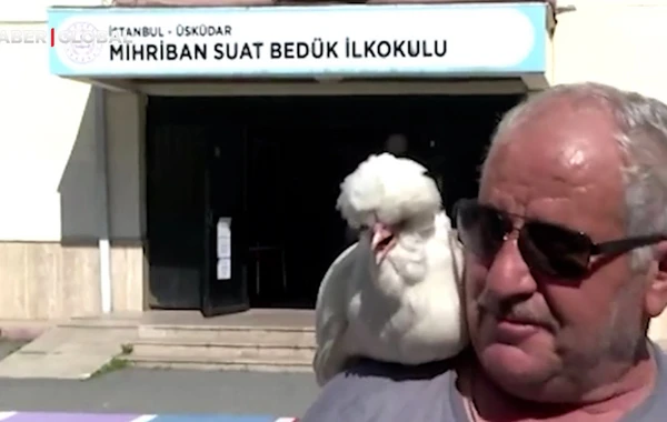 İstanbulda seçici məntəqədə özü ilə gətirdiyi toyuqla səs verdi - VİDEO