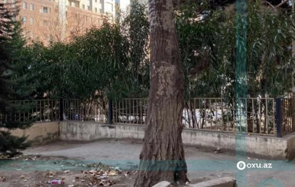 Bakıda yaşıllıq ərazinin məhv edilməsi ilə bağlı yayılan iddialara CAVAB - YENİLƏNİB + FOTO