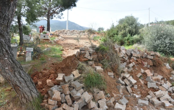 Yenidən seçilməyən eks bələdiyyə sədri 40 illik yolu bağlayıb, üzərində ağac əkdi - FOTO