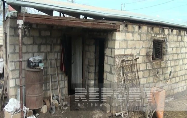 Goranboyda tövlə yanıb, mal-qara tələf olub - FOTO